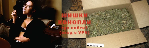 трава Горно-Алтайск