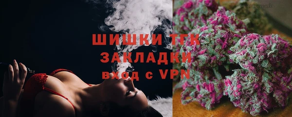 твердый Горнозаводск