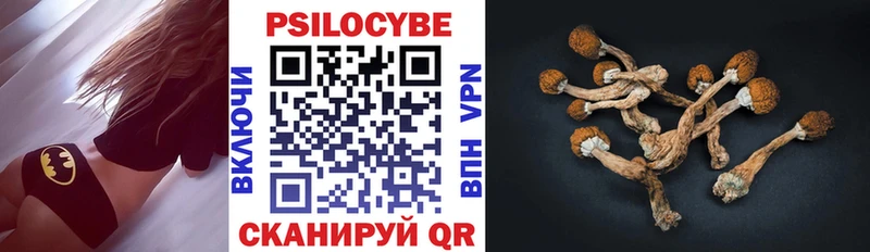 Псилоцибиновые грибы мухоморы  KRAKEN ссылка  Завитинск  цена наркотик 